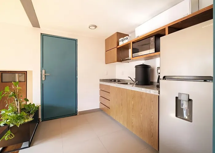 Deluxe W Private Terrace Reforma Av Apartamento *